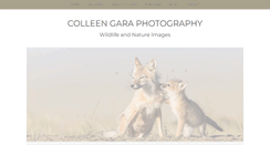 Desktop Screenshot of colleengaraphotography.com