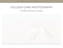 Tablet Screenshot of colleengaraphotography.com